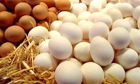 تخم مرغ تنظیم بازار در میادین میوه و تره بار؛ هر عدد ۳۴۵ تومان