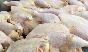 گرانی قیمت مرغ در بازار به دنبال آزاد شدن صادرات