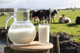 کمبود شیر خام در کشور صحت ندارد
