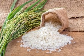 برنج ایرانی بیش از ۵۵ درصد گران شد
