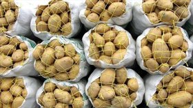 ۵۰۰۰ تن سیب‌زمینی و پیاز احتکاری در کرمانشاه کشف شد