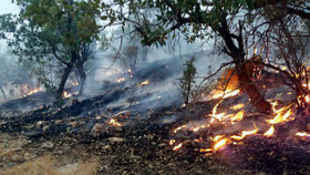 آتش سوزی در منابع طبیعی امسال 35 درصد کاهش یافت