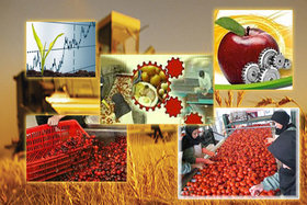 افزایش ارزش افزوده اقتصادی محصولات کشاورزی در گرو توسعه صنایع تبدیل و تکمیلی