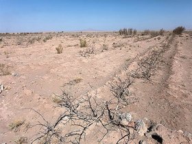 خسارت خشکسالی به بخش کشاورزی خراسان جنوبی