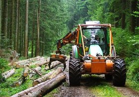 ممنوعیت برداشت  از جنگل‌های طبیعی و مصنوعی به منظور ترمیم جنگل‌ها/ تامین چوب مورد نیاز در بخش صنعت از درخت‌کاری‌های شخصی