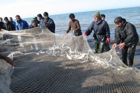 تمدید ممنوعیت صید ماهیان خاویاری در خزر تا سال ۲۰۱۹