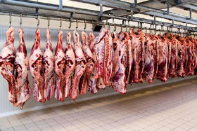 قیمت گوشت در بازار ثابت شد