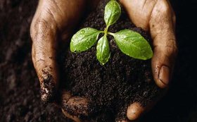سالانه در هر هکتار زمین کشاورزی ۱۵ تن خاک فرسایش می‌یابد