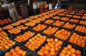 وزارت صنعت ذخیره‌سازی میوه عید را بر عهده گرفت