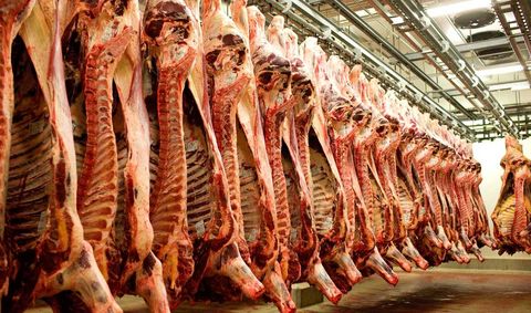 صادرات گوشت