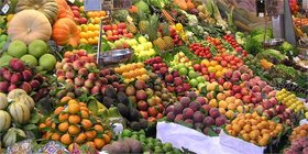 حجم زیادی از میوه و تره‌بار حین برداشت از بین می‌رود/ تولید محصولات ارگانیک و پاسخگویی به بخش وسیعی از نیاز داخل