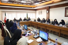 پایش اجرایی شدن ماده ۱۰۱ قانون برنامه ششم درباره اختصاص پست‌های مدیریتی به زنان