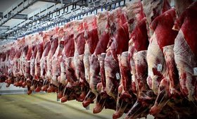 توزیع گوشت وارداتی طرح تنظیم بازار در مناطق جنوبی تهران