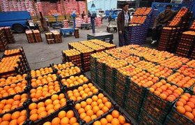 ذخیره‌سازی میوه شب عید هزینه اضافی برای دولت است