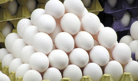 نیازی به واردات تخم مرغ نداریم/ عرضه و تقاضا همیشه دلیل افزایش قیمت نیست