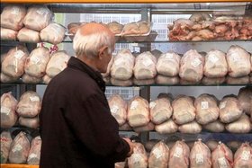 توزیع مرغ منجمد ۸ هزار و ۹۰۰ تومانی از امروز برای مقابله با گرانی