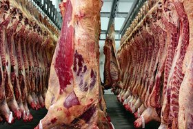 واردات 57 درصدی گوشت قرمز با ارز دولتی غیرمنطقی‌ است/ ممنوعیت صادرات دام و افزایش قاچاق