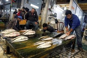 تقاضای 7 استان برای عرضه ماهی در میادین میوه و تره‌بار تهران/ سرانه مصرف ماهی تهرانی‌ها کمتر از میانگین کشوری است
