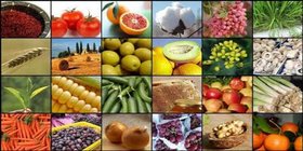 ۱۰۰ برنامه موبایلی برای کشاورزان امروز رونمایی شد/ معرفی ۱۵۸ کشاورز نمونه‌ ملی
