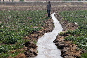 تامین آب شرب ۱۱۰۰ هکتار از اراضی کشاورزی آذربایجان‌غربی