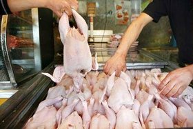 روزانه 700 تن مرغ در میدان میوه و تره‌بار بهمن توزیع می‌شود