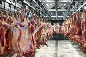 آیا خرید گوسفند زنده به صرفه تر از خرید گوشت قرمز است؟