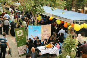 جشنواره شکرانه برداشت مرکبات در دزفول برگزار شد