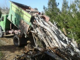 کامیون‌های حامل چوب و فاقد مجوز از منابع طبیعی توقیف می‌شوند