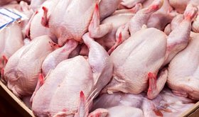 قیمت گوشت مرغ بسته‌بندی و قطعه‌بندی در میادین میوه و تره‌بار