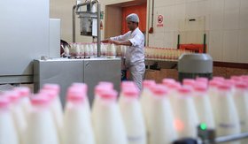 کرمانشاه بزرگ‌ترین صادرکننده شیر به کشورهای اروپایی و خلیج‌فارس است