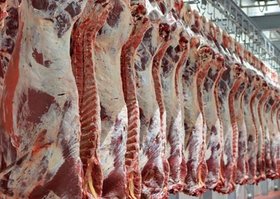 توزیع گوشت تنظیم بازاری در دولت در دست بررسی است