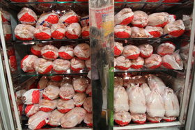30 هزار تن مرغ گرم تنظیم بازاری از هفته آینده عرضه می‌شود