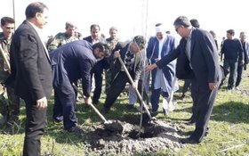 نخستین پروژه زراعت چوب استان گلستان در مراتع آزادشهر اجرا شد 