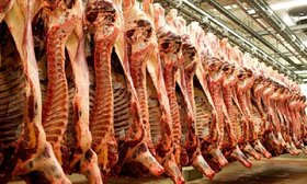 60 کانتینر گوشت هفته آینده در بازار مصرف عرضه می‌شود