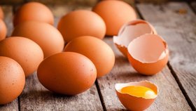 افزایش تولید تخم مرغ ۵ درصد بیشتر از برنامه جهاد کشاورزی