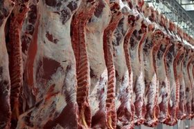 ۵۲.۸ هزار تن گوشت به کشتارگاه‌ها عرضه شد