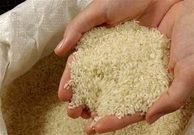 رشد قیمت برنج تایلندی در سال جاری