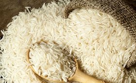 واردات برنج آزاد شود