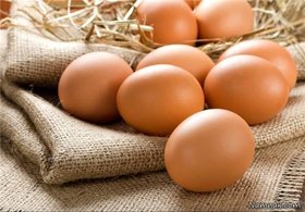 تخم مرغ ارزان شد/نوسان قیمت گوشت قرمز از ۲۱۳ تا ۳۱۰هزار تومان
