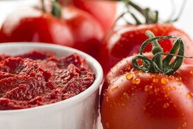 صادرات گوجه فرنگی طی ماه‌های اخیر روند نزولی گرفت