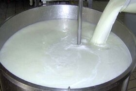 قیمت 12هزار تومان شیر کفاف هزینه‌های تولید را نمی‌دهد