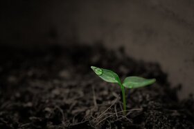 شعار روز جهانی خاک؛ "جلوگیری از شوری خاک، افزایش بهره وری خاک"