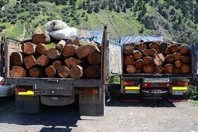 توقیف بیش از 38 تن چوب قاچاق در ملکان