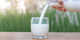 ۴ عاملی که ممکن است قیمت شیرخام را بالا ببرند