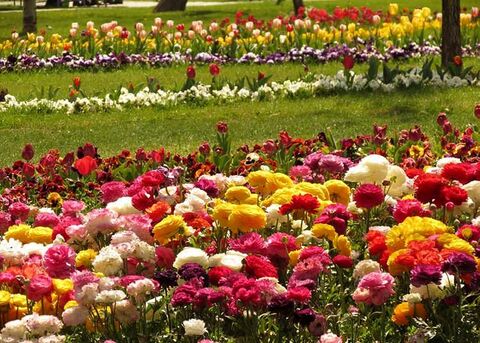باغ تخصصي گل‌ها در همدان