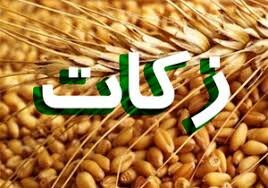 پیشتازی کشاورزان و دامداران باوی خوزستان در پرداخت زکات