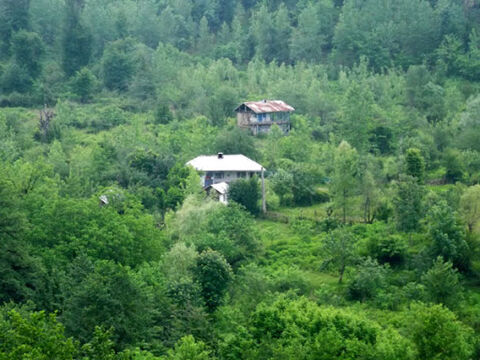 روستای بیجارسر