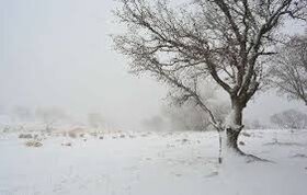 ۹۵ درصد مسیرهای روستایی آذربایجان‌غربی درگیر برف بود