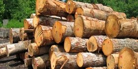 قاچاقچیان چوب‌های جنگلی در اردبیل دستگیر شدند