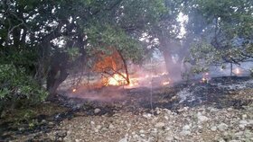 مهار آتش در جنگل های رامیان